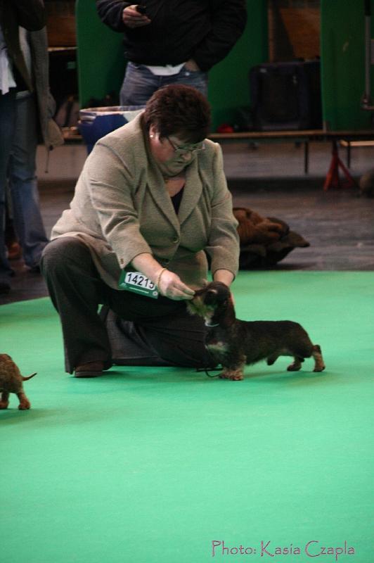 Crufts2011_2 578.jpg